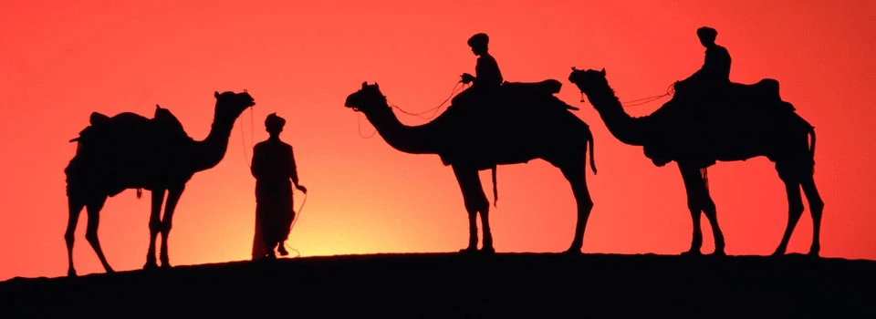 rajasthan tour and travel agents